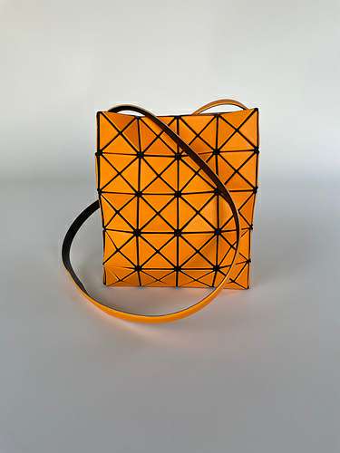 Picture of Issey Miyake Lady Handbags _SKUfw141327476fw